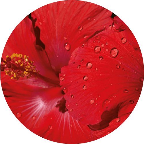 Glycerin