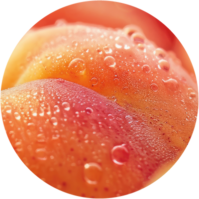 
Hyaluronic Acid