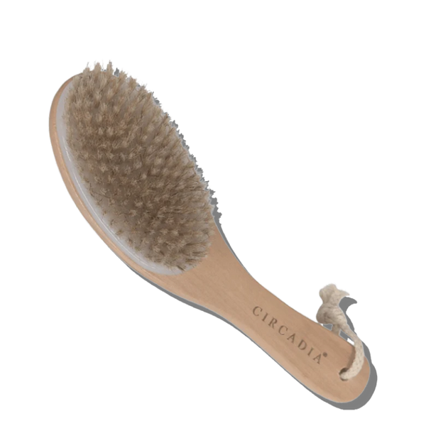 Body_Brush_circadia_glow_expert